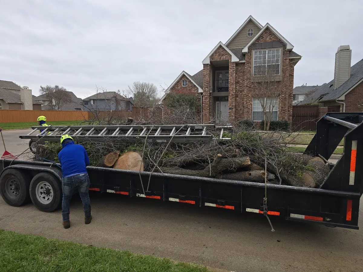 Expert Tree Fertilization with proper safety equipment in Birmingham